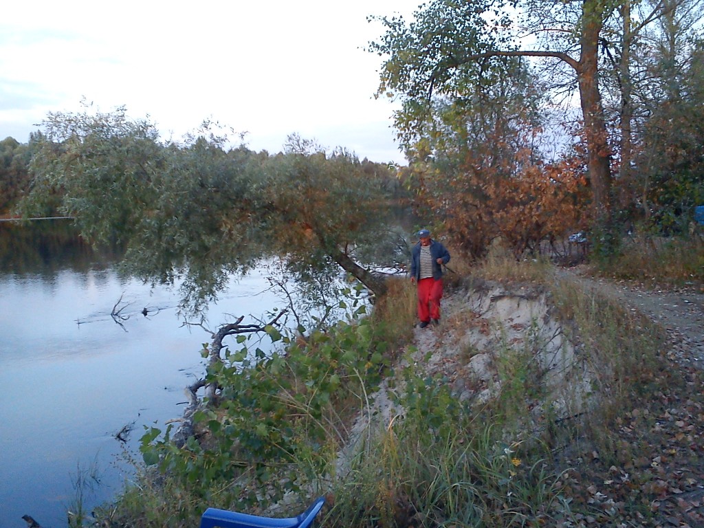 За рыбой