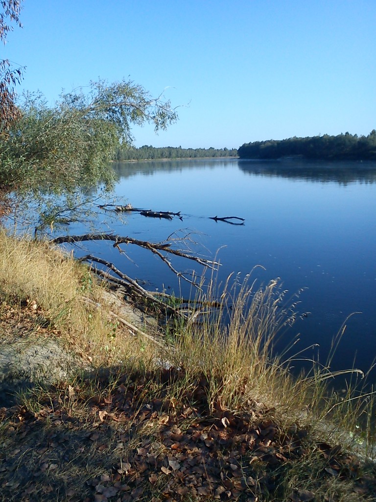 Наш берег